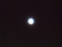 According to Ptolemy, Regulus is of the nature of Mars and Jupiter, according to Fludd, of the nature of Jupiter and Mars, and according to Julevno, of the nature of Mars. Regulus brings violence, destruction, and short-lived martial honours, prison and violent death, if it is not well-aspected. It endows with courage and the will to reign, ambition, and the thirst for power, and it may bring about might and independence. This star is very active and strengthens the planet it touches, for better or for worse... According to Ptolemy, Regulus is of the nature of Mars and Jupiter, according to Fludd, of the nature of Jupiter and Mars, and according to Julevno, of the nature of Mars. Regulus brings violence, destruction, and short-lived martial honours, prison and violent death, if it is not well-aspected. It endows with courage and the will to reign, ambition, and the thirst for power, and it may bring about might and independence. This star is very active and strengthens the planet it touches, for better or for worse...